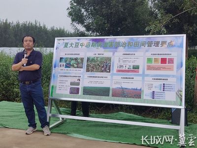 河北省大豆玉米帶狀復合種植突破百萬畝，科技助力農業病蟲害防治