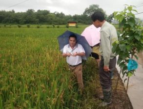 迎戰強降雨，永康在行動 全力以赴加強農業病蟲害防治