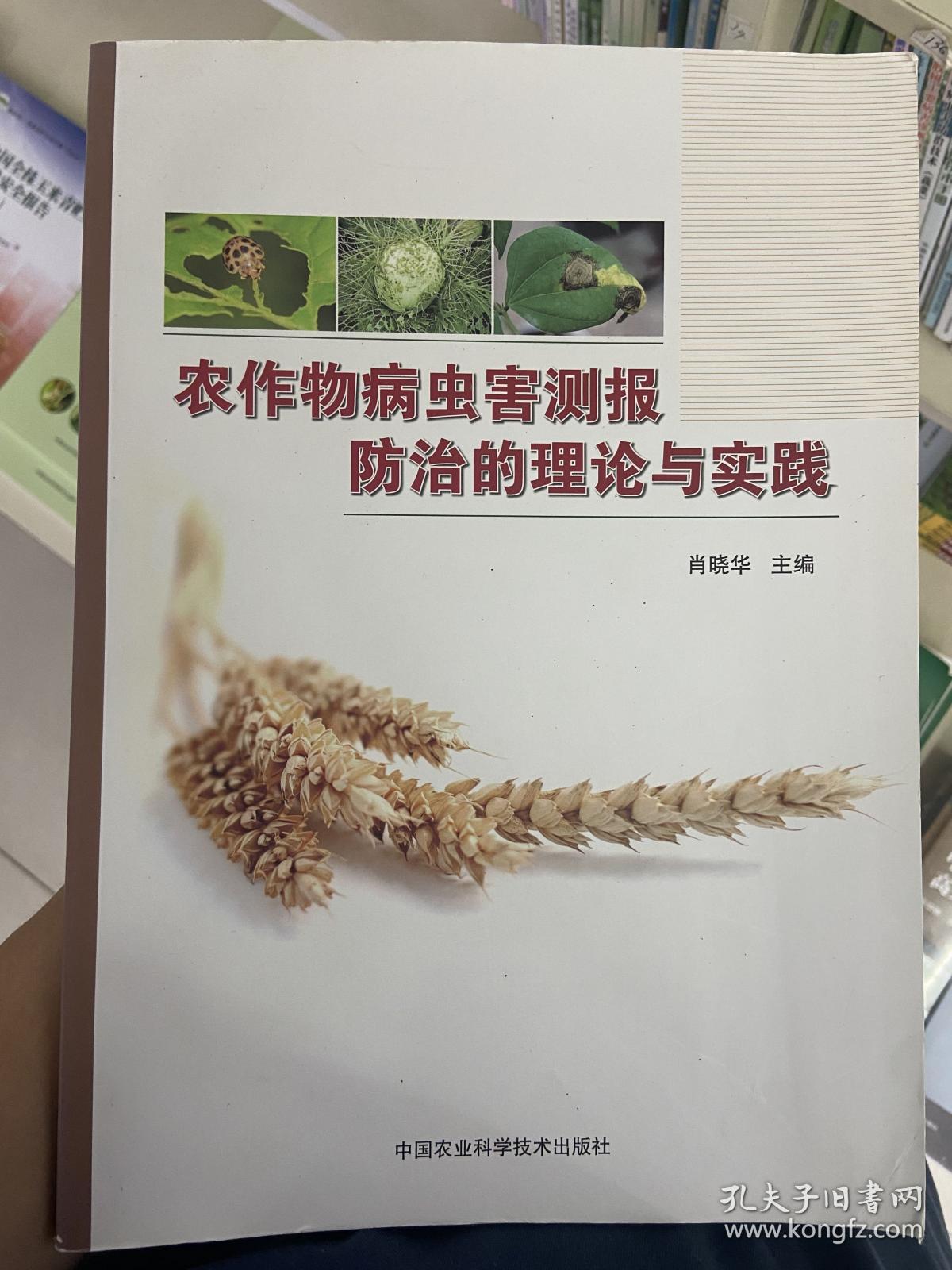農作物病蟲害測報防治的理論與實踐